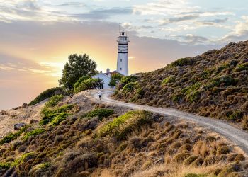 Nergis Kokulu Karaburun