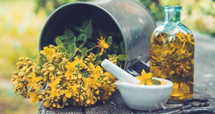 Kantaron yağının faydaları nelerdir?