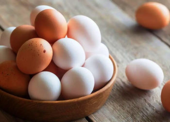 Fiyatı uygun 15 Protein Zengini Besin
