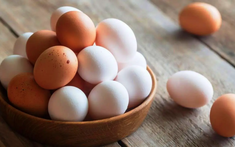 Fiyatı uygun 15 Protein Zengini Besin