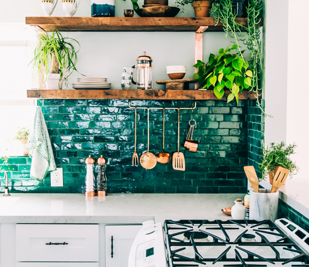 Mutfakta yetiştirebileceğiniz muhteşem bitkiler