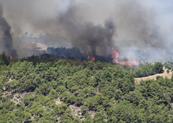 İstanbul dahil toplam 39 ilde ormana giriş yasağı