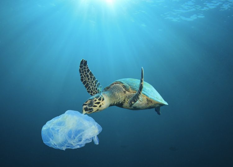 Kağıt, plastik ve metal ambalajlı ürünlere depozito sistemi