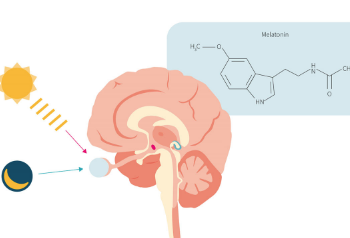 Melatonin Hakkında Bilmeniz Gerekenler: Doğal Yollardan Melatonin Alımı