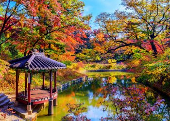 Sonbahar, Güney Kore’de Bir Başka Güzel