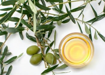 Tatlı krizine karşı pratik tahlil: Zeytin yaprağı kürü