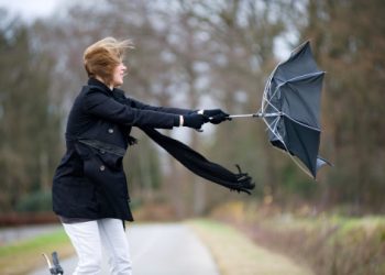 Rüzgâra dair dünyadan 12 atasözü