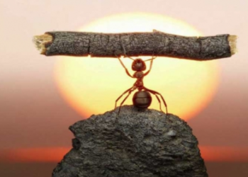 Kendinizin En İyi Versiyonuna Nasıl Ulaşabilirsiniz?