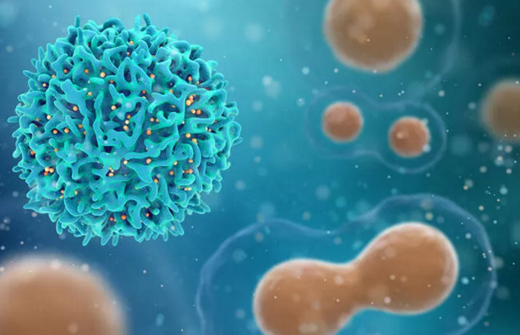 Sizin bağışıklık sisteminiz hangisi? ‘General’ T hücrelerini dengeleme rehberi…