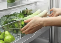 Yeşillikler Yıkandıktan Sonra Buzdolabına Konur mu?