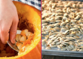 Kavrulmuş kabak çekirdeği nasıl yapılır?