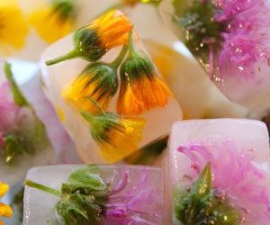 Çiçekli buz yapmak çok kolay!