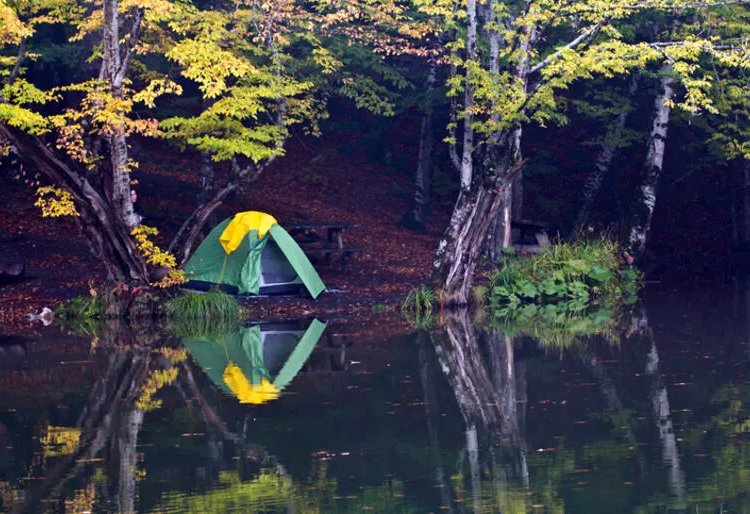 Sonbaharın keyifli aktiviteleri | 12 ŞEHİR 15 ADRES