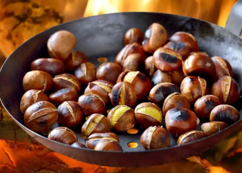 Kestane kaç kalori? Kestanenin faydaları neler? Kestane diyette tüketilir mi?