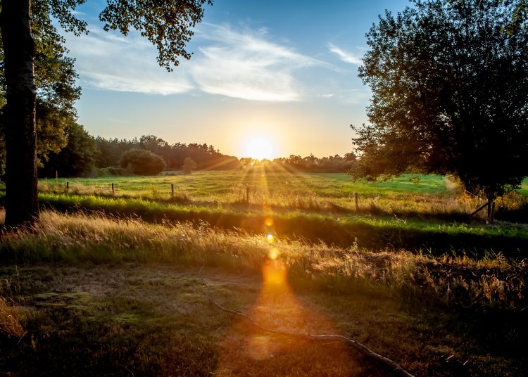 Gün ışığı depresyonun tedavisi!