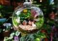 Evinize renk katar: Terrarium Terrariumlardan siz de evinize yapabilirsiniz!