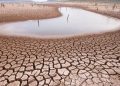 Kuraklık haritası 2023