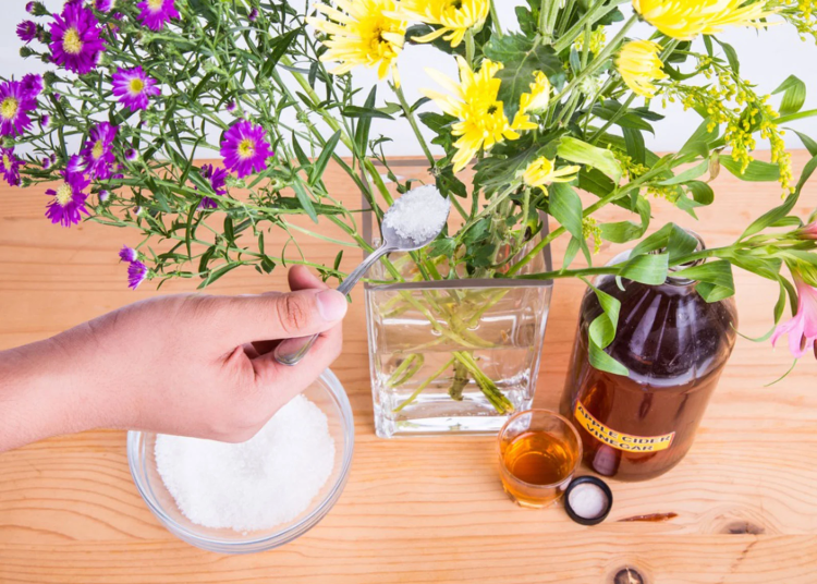 Bitkilerinize sirke verirseniz ne olur?