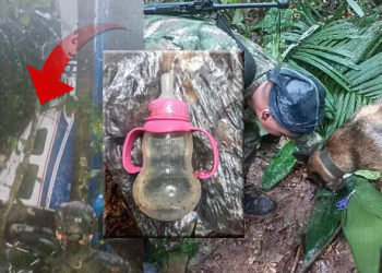 Gerçek bir mucize: Uçakları düşen 4 çocuk, 2 hafta sonra ormanlık alanda sağ bulundu!