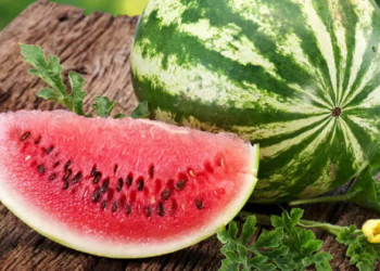 Karpuz ile peynir birlikte tüketilirse bakın ne oluyor! Sırrı beyaz kısmında saklı