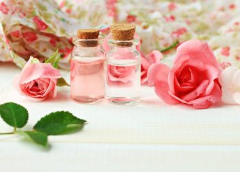 Gül mayası nedir ve neden kullanılır?