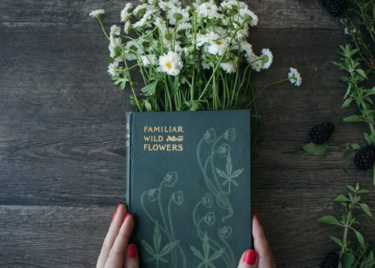 Çevre Bilinci İçin Okunması Gereken Kitaplar