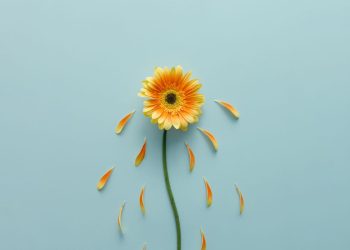 YAZ MEVSİMİNDE GÖRÜLEN DEPRESYONUN BAŞLICA 10 BELİRTİSİ 