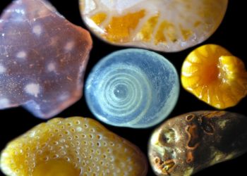 Kum tanelerinin mikroskop görüntüsü