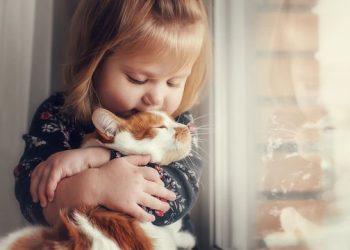 Mutluluğun sırrı nedir?