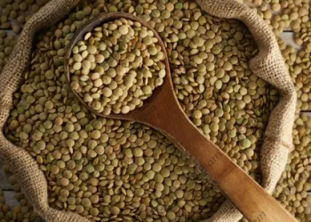 Ete meydan okuyor! ‘Yüzde 19’u protein, haftada 3 gün tüketilmeli’